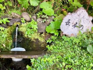 利尻島観光協会もおすすめの温泉と食事が評判の旅館雪国の温泉の敷地内の湧き水、長寿の泉