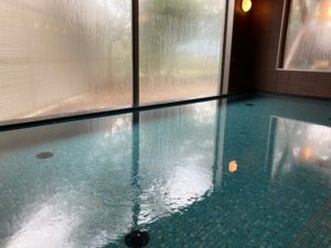 湯巡り日本一周Nバン車中泊49湯目 海洋深層水のお風呂 夢古道おわせの内湯