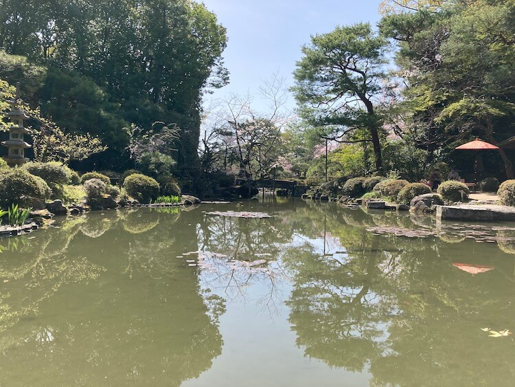 湯巡りNバン日本一周車中泊67日目 桜満開！春の京都平安神宮