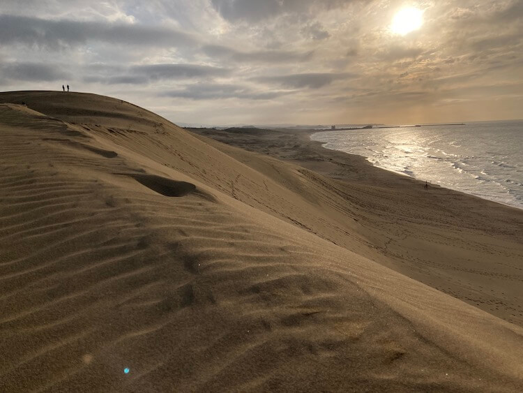 鳥取砂丘の風紋と絶景夕陽