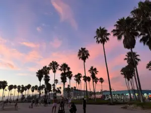 断酒2481日目、夕焼け空とヤシの木が並ぶビーチの風景